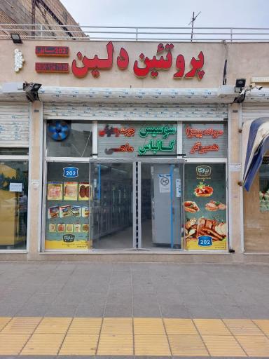 عکس پروتئین دلین (202سابق)