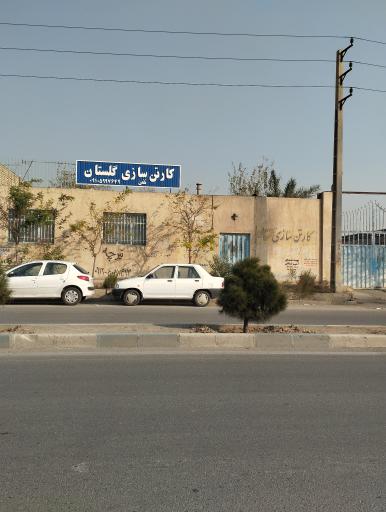 عکس کارتن سازی گلستان