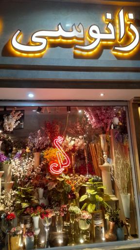 عکس گل زانوسی