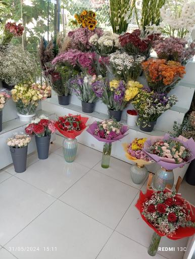 عکس  میدان گل و گیاه الوند