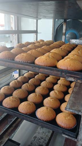 عکس کیک و کلوچه پزی امین