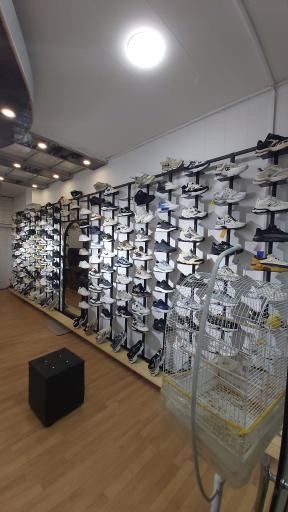 عکس کفش ورس