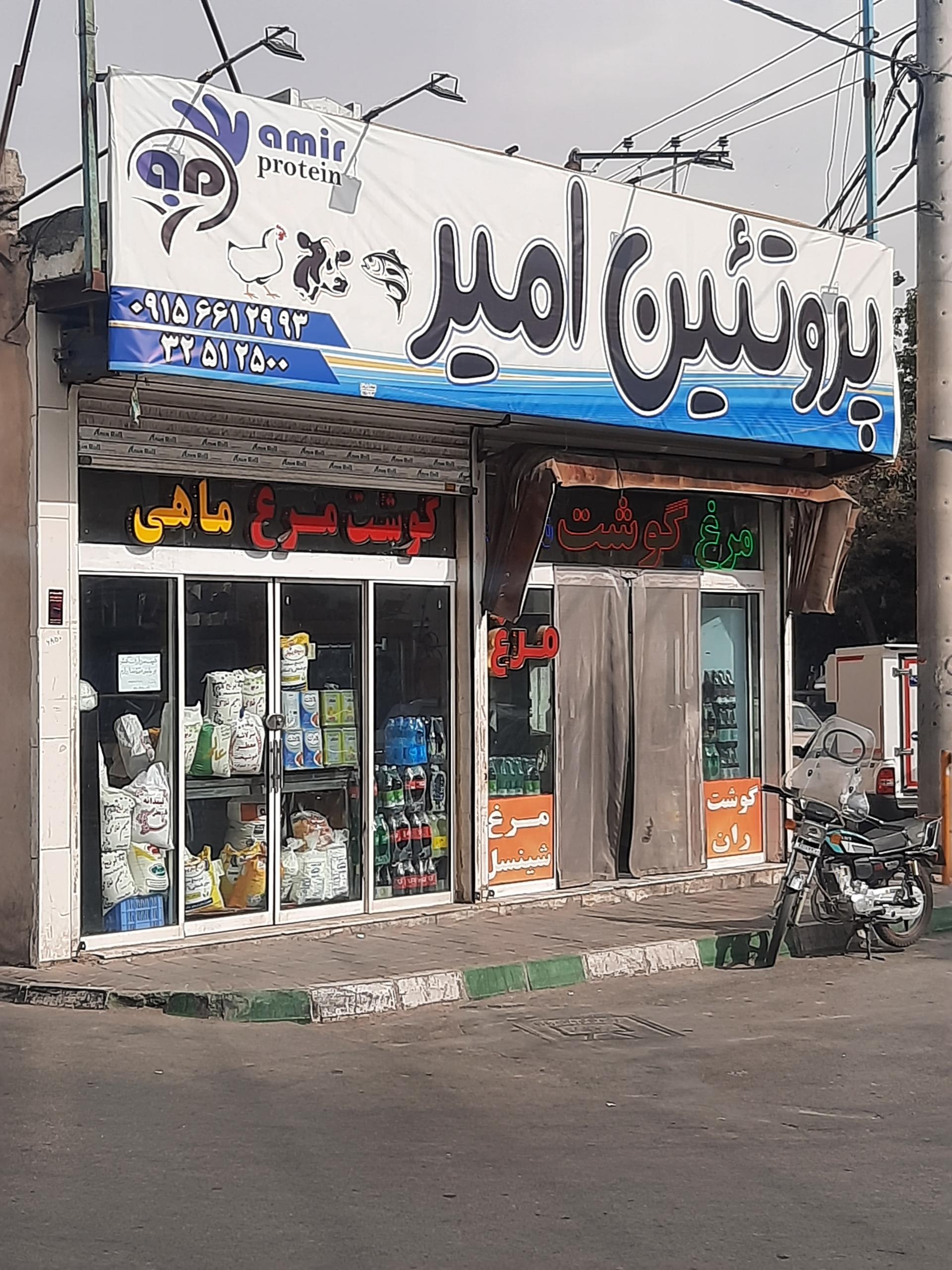 عکس پروتئین امیر