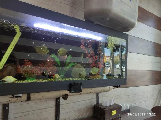 عکس رستوران ته چین