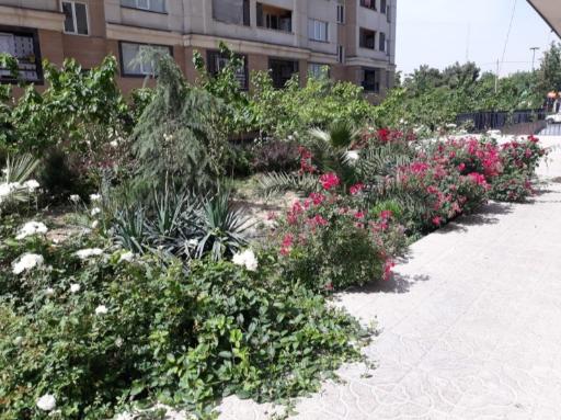 عکس شهرک شهید هاشمی نژاد