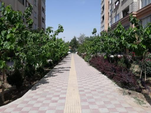 عکس شهرک شهید هاشمی نژاد