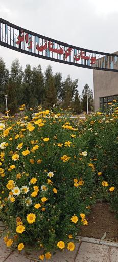 بوستان کوهستانی زائر