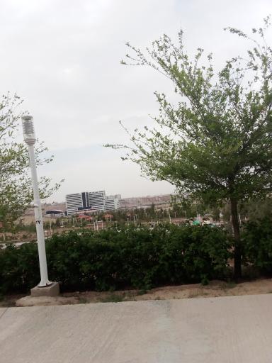 عکس بوستان کوهستانی زائر