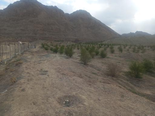 عکس بوستان کوهستانی زائر