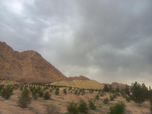 عکس بوستان کوهستانی زائر