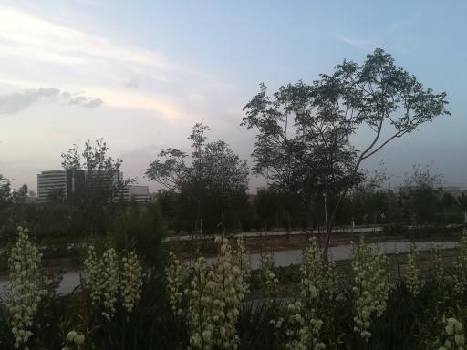 عکس بوستان کوهستانی زائر