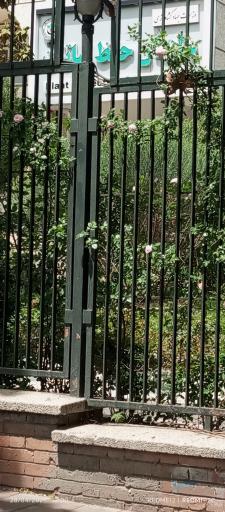 عکس سازمان حفظ نباتات کشور