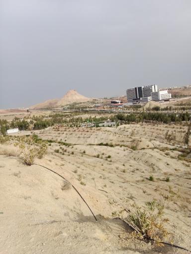 بوستان کوهستانی زائر