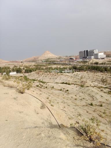 بوستان کوهستانی زائر