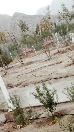 عکس بوستان کوهستانی زائر