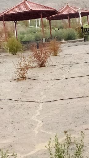 عکس بوستان کوهستانی زائر