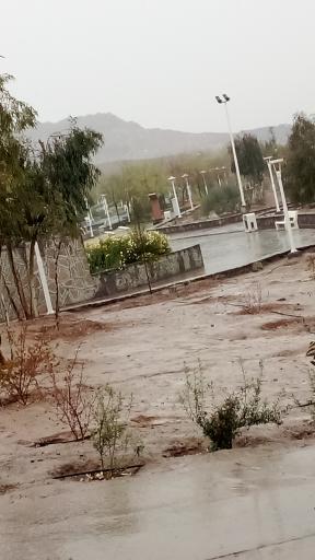 عکس بوستان کوهستانی زائر