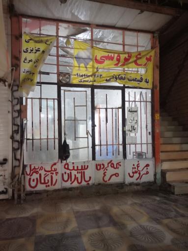 عکس مرغ فروشی عزیزی