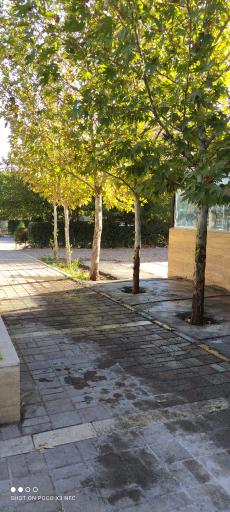 عکس بوستان شادی