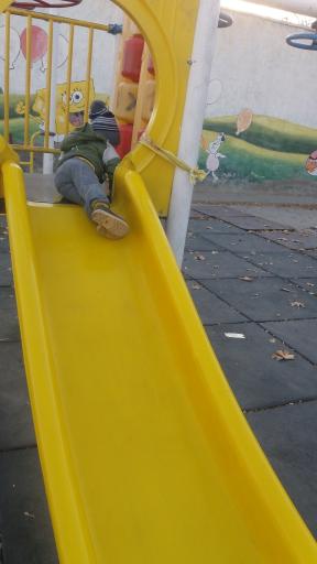 عکس بوستان شادی