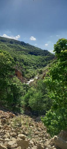 عکس تنگه لی لی