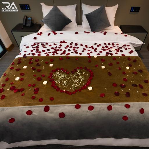 عکس هتل سه ستاره رادیس