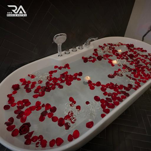 عکس هتل سه ستاره رادیس