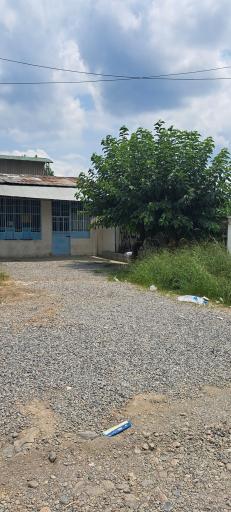 عکس نانوایی بربری