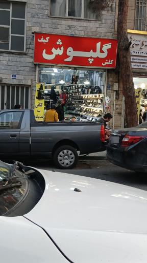 کیف وکفش گلپوش