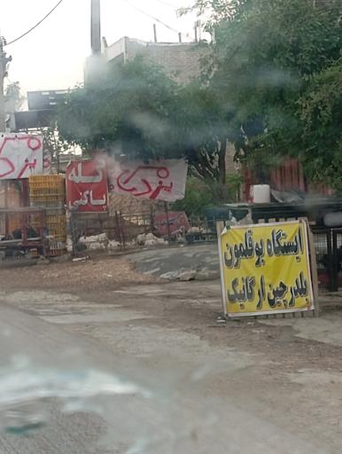 عکس مرغ فروشی جوجه اردک و بلدرچین