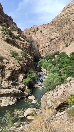 عکس تنگه لی لی