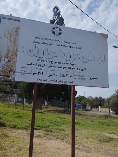 عکس سرو کهنسال هرزویل