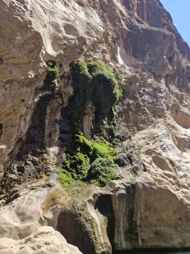 عکس تنگه لی لی