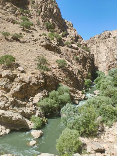 عکس تنگه لی لی