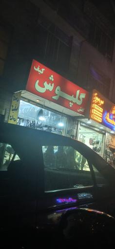 عکس کیف وکفش گلپوش