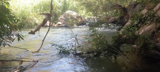 عکس تنگه لی لی