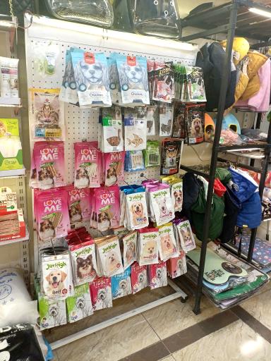 عکس هایپر حیوانات احدی