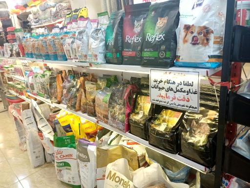 عکس هایپر حیوانات احدی