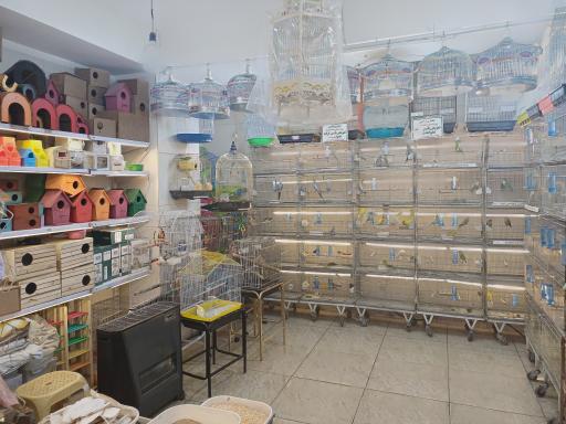 عکس هایپر حیوانات احدی