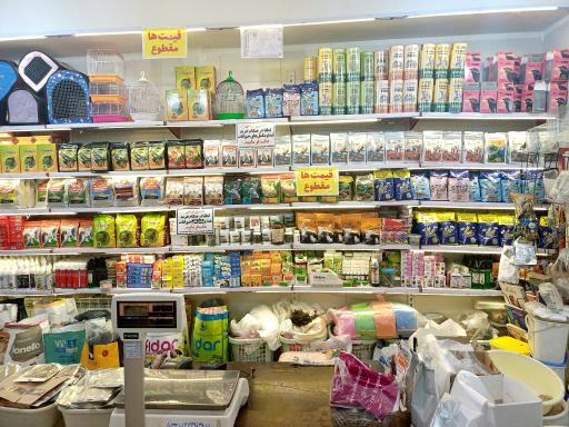 عکس هایپر حیوانات احدی