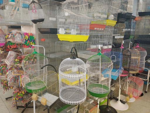 عکس هایپر حیوانات احدی