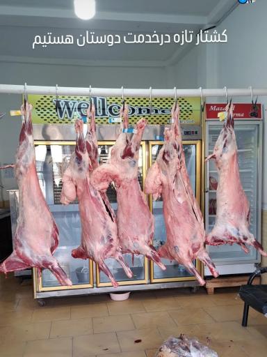 قصابی و مرغ فروشی حسینی