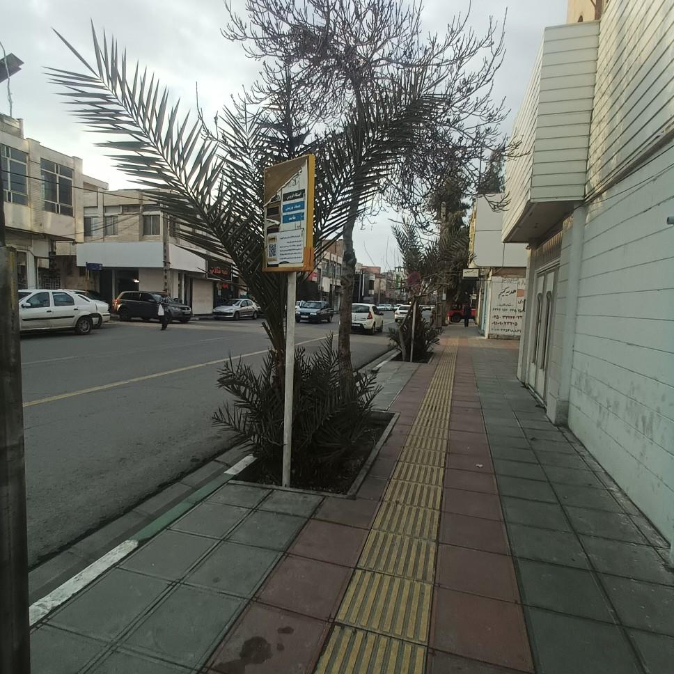 عکس پزشکی قانونی