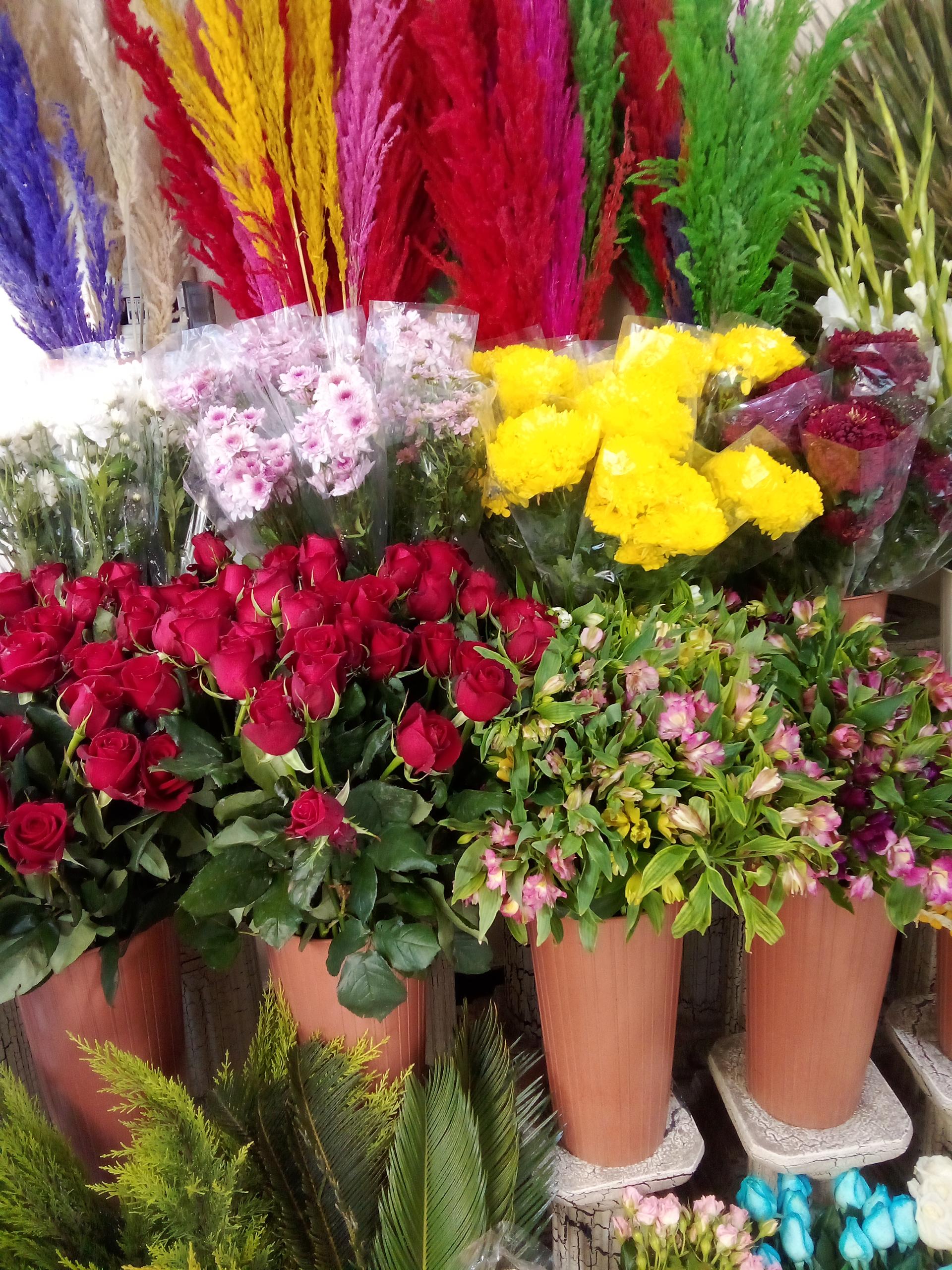 عکس گلفروشی شهرگل