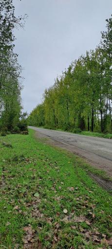 عکس بازارجمعه