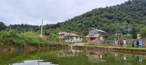 عکس بازارجمعه