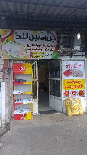 عکس مرغ پروتئین لند