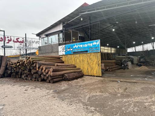 عکس چوب بری نیک نژاد