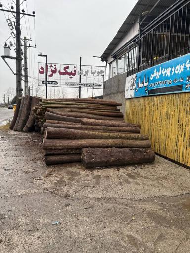 عکس چوب بری نیک نژاد