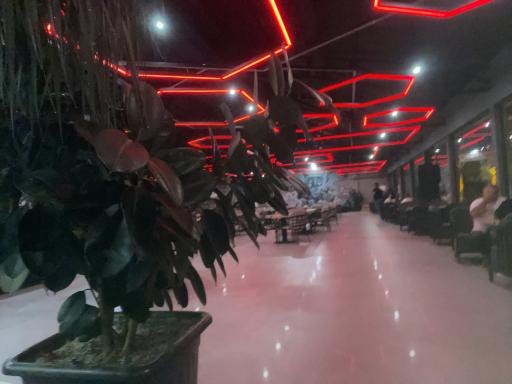 عکس کافه مندا